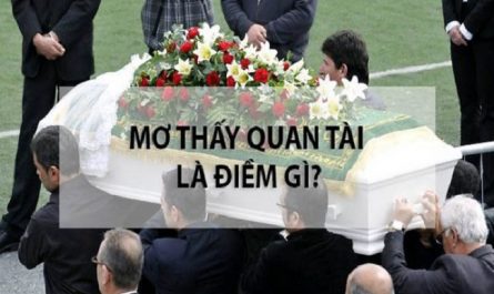 mo thay quan tai