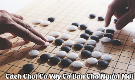 luat choi co vay co ban