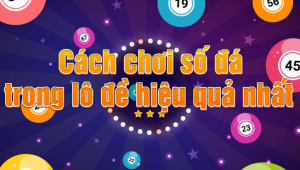 Số đá miền Nam là gì? Hướng dẫn cách đánh đề số đá trúng?