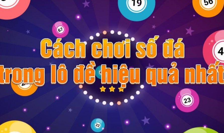 Số đá miền Nam là gì? Hướng dẫn cách đánh đề số đá trúng?