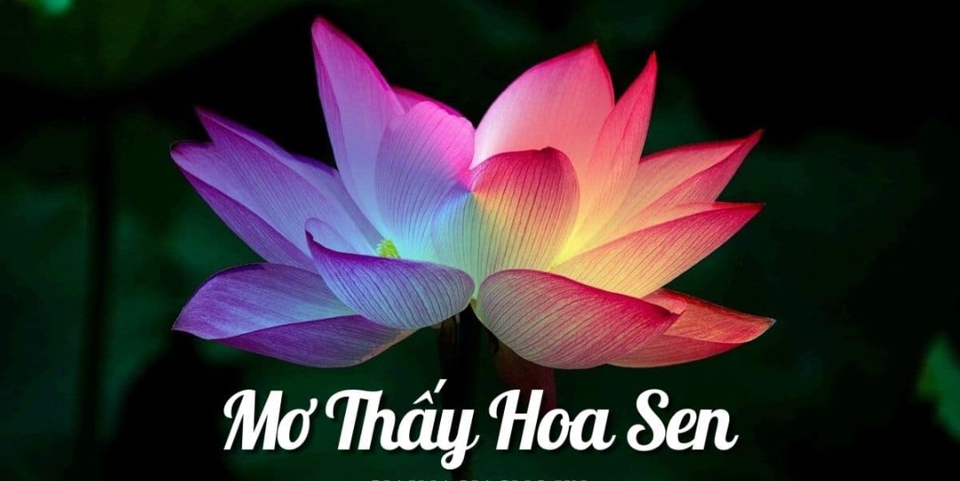 Mo thay hoa sen mang y nghia gi?