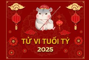 Luận giải tử vi tuổi Tý năm 2025 đoán vận mệnh thành công