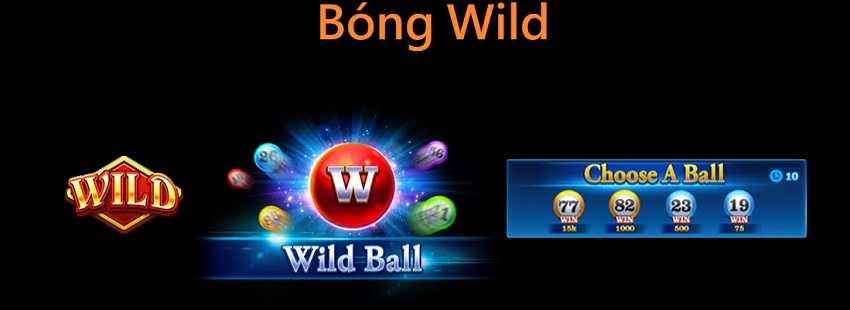 Đặc điểm game Fortune Bingo W88 Tinh nang game Fortune Bingo W88